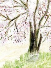 Cherry Tree card